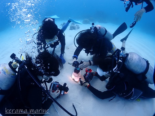P1018187.JPG