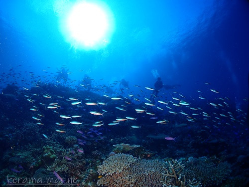P1010290.JPG