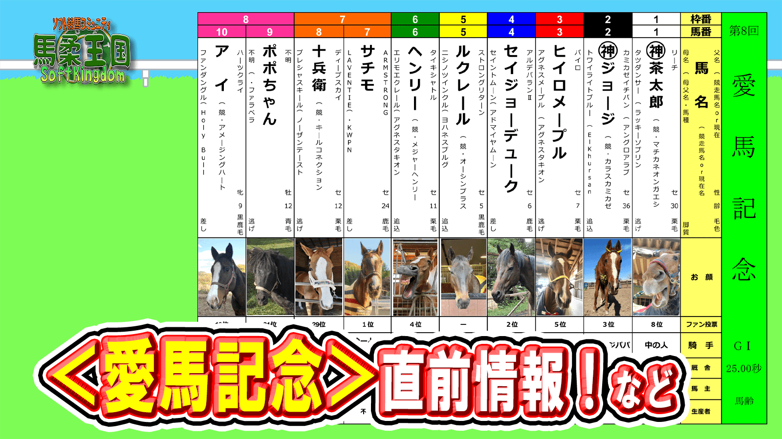 【馬柔王国】  第8回＜愛馬記念＞直前情報！