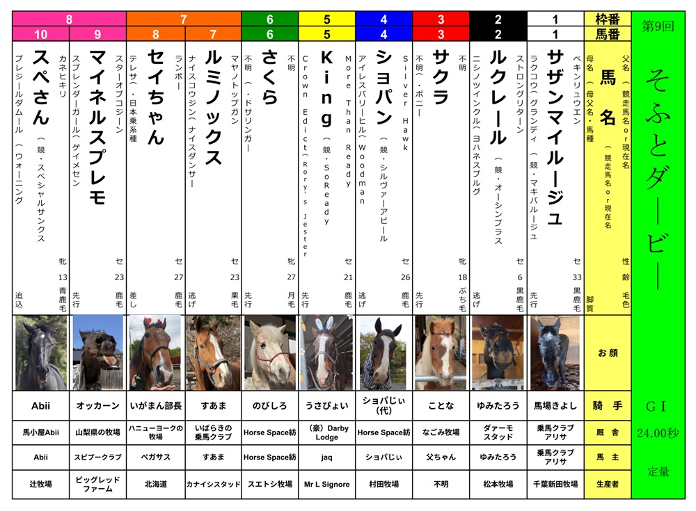 第9回＜そふとダービー＞　（GⅠ・24.00秒）