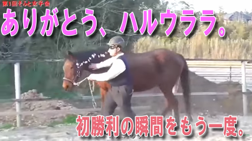 📢【ハルウララさん追悼配信 お香典レポート】