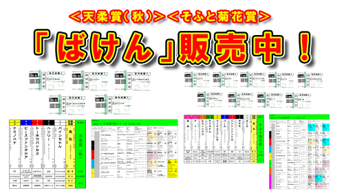 📢 【＜そふと菊花賞＞＆＜天柔賞（秋）＞「ばけん」販売開始！】🏇✨