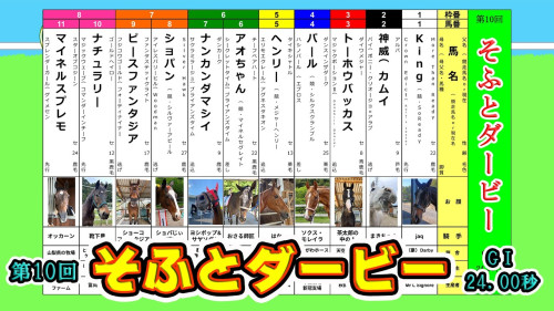 【第10回〈そふとダービー〉  皆様からのご支援ありがとうございました！🙇】