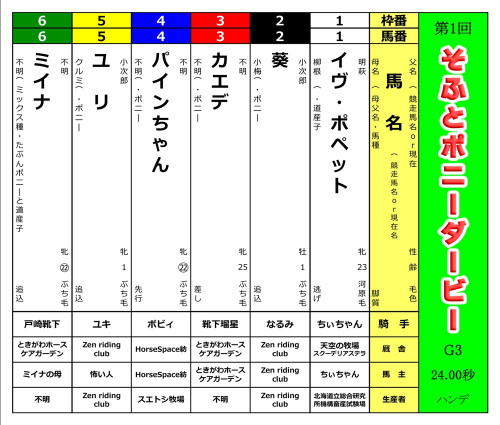 【第1回〈そふとポニーダービー〉  皆様からのご支援ありがとうございました！🙇✨】