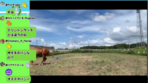 勢いよく走るヘンリー
