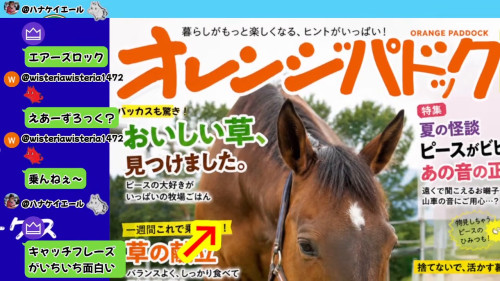 ピースファンタジアのオレンジパドック