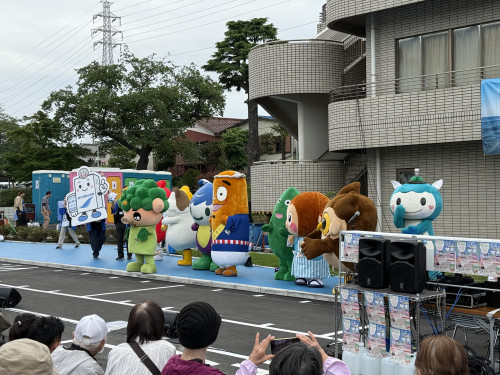 IMG_8592.jpeg