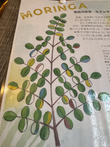 〜奇跡の木（野菜）モリンガ〜