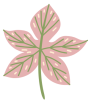 おはな4.png