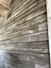 IMG_6276.JPEG