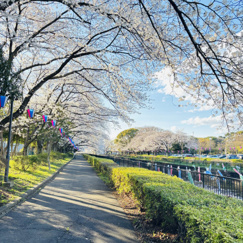 【コラム】  体と断捨離