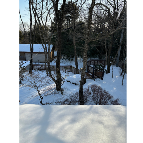 雪.png