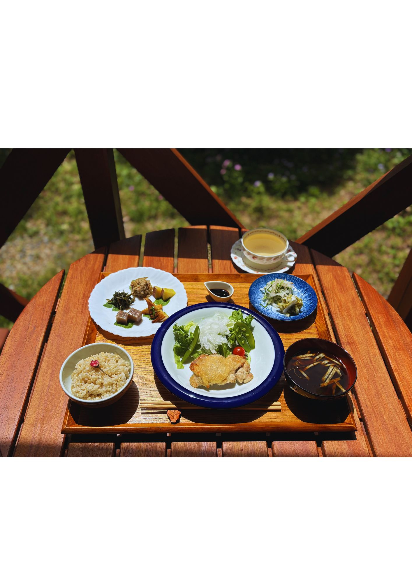 四毒抜き × 野草 × 発酵の「身体ととのうランチ」