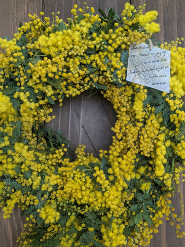 ミモザリース講習会中止のお知らせ