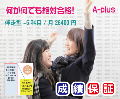 A⑬.png