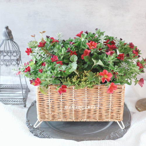 横浜山下公園　マルシェ出店のお知らせ