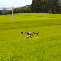 ドローン防除２.JPG