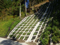 大台線②.JPG