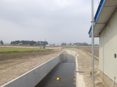 油川①.JPG