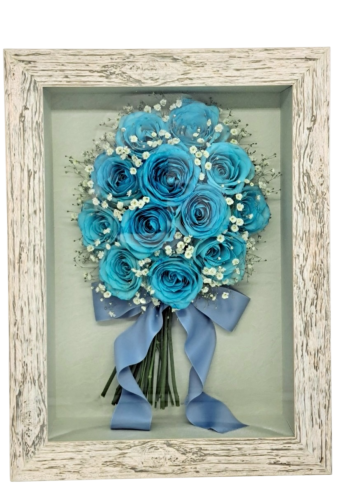 Photoroom_20250612_223616.png