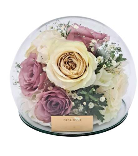 Photoroom_20250701_151522.png