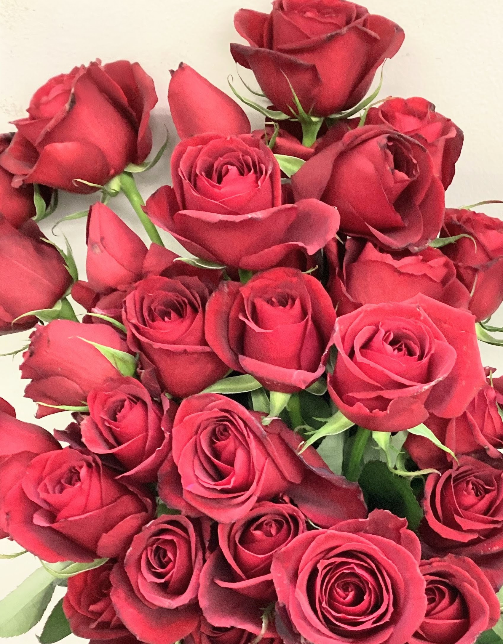 プロポーズのお花でご注文いただきました🌹