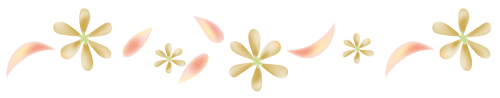 860442a.png