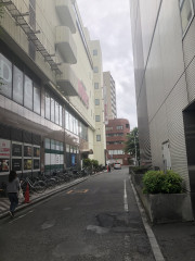 IMG_7533.jpeg