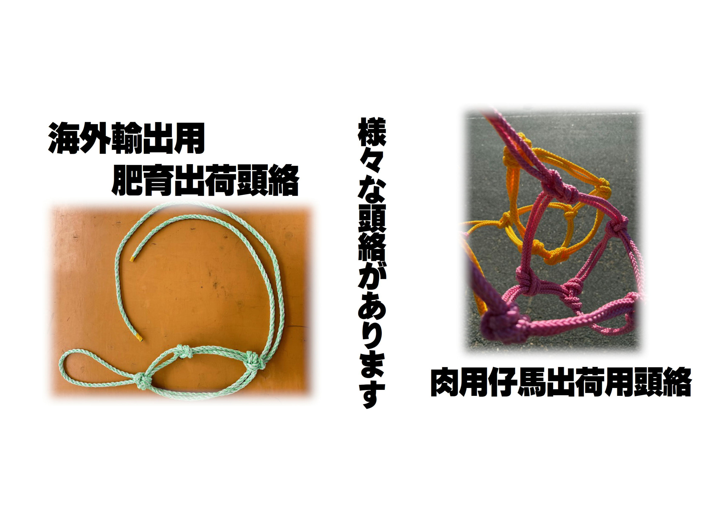 牛丸くんページ 松阪牛 ギフト券 HFタイプ | 松阪まるよし