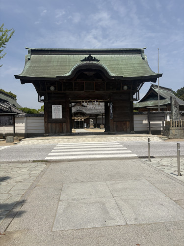 IMG_8595.jpeg