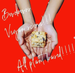 スクリーンショット 2025-11-13 18.18.35.png