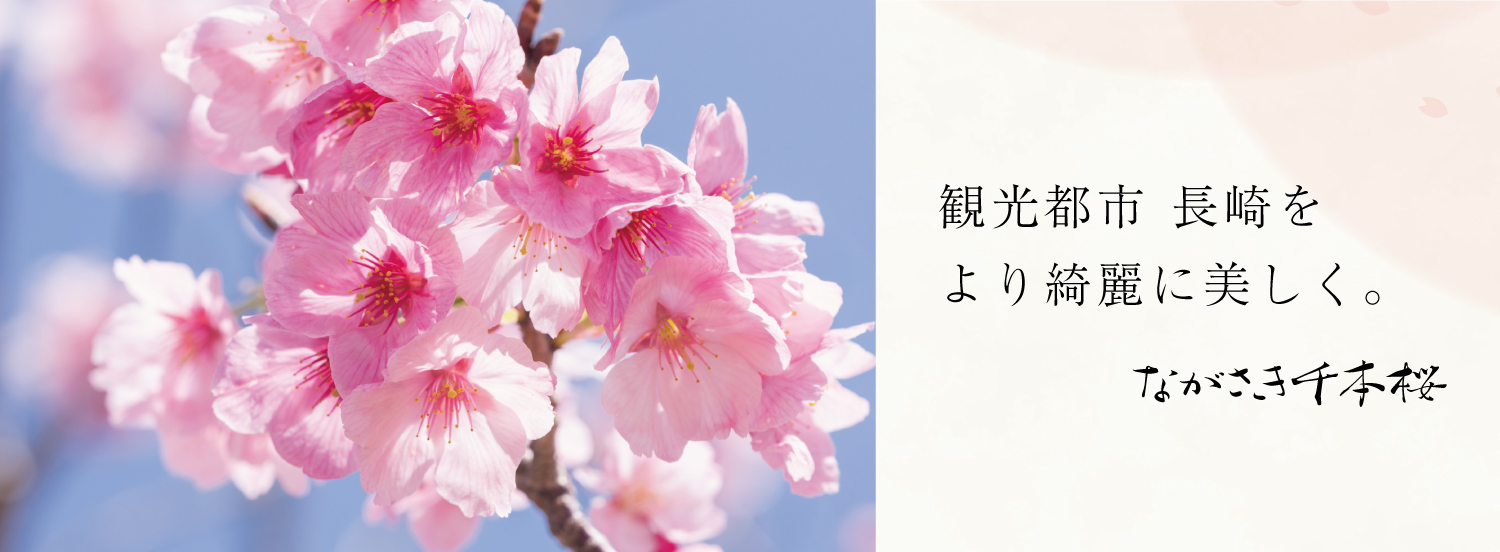 ながさき千本桜,長崎,ボランティア