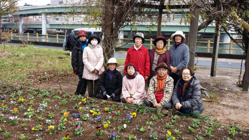 花壇植栽２６年１２月 050.jpg