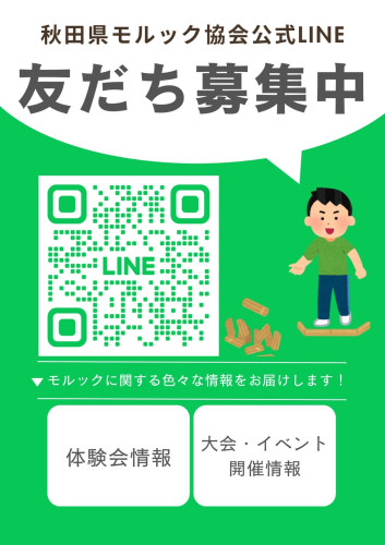 公式募集チラシ.JPG