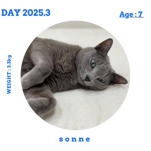 ゾンネ　2024/2 で6歳と少し　ずっと元気で(^^)