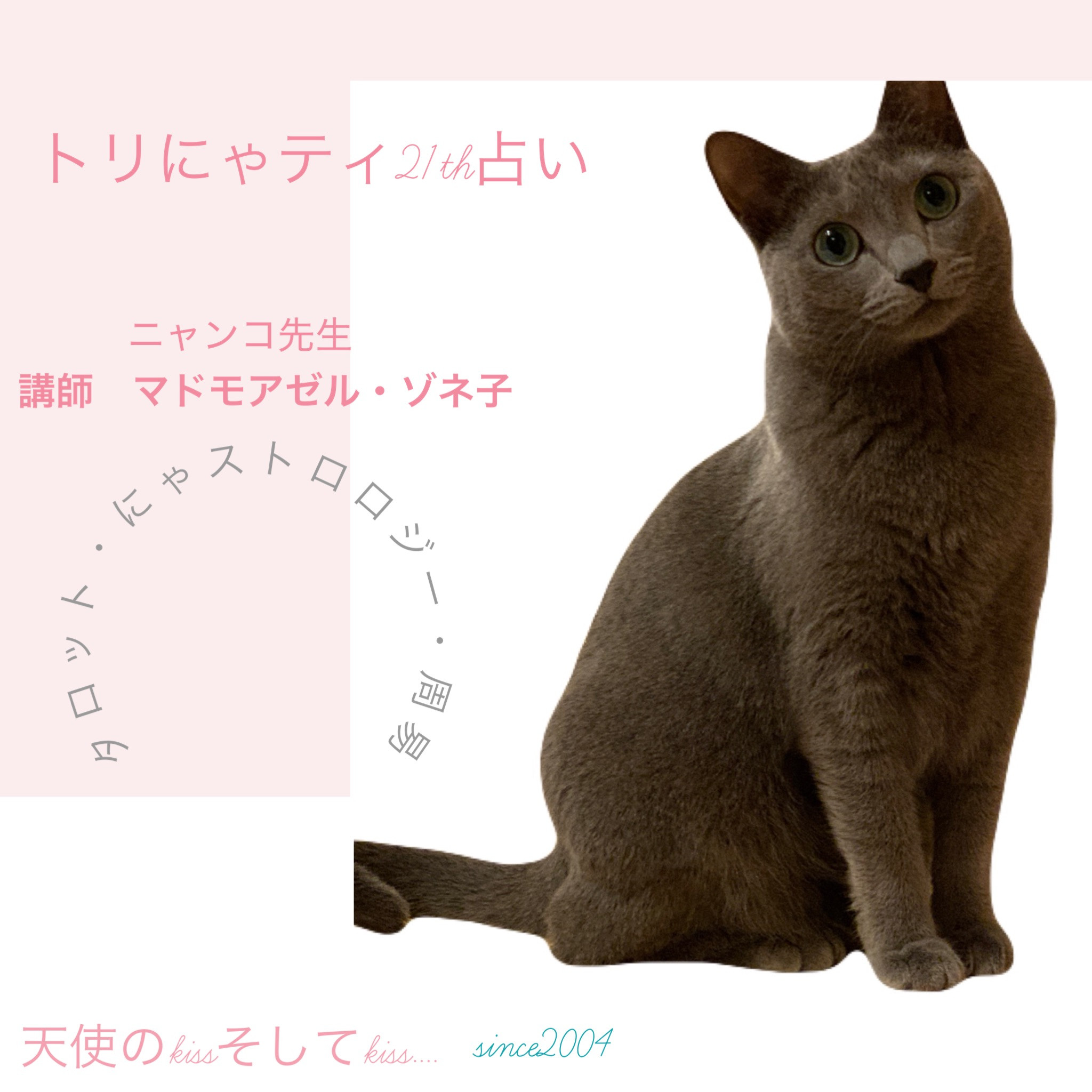 看板ネコ　ゾンネさん