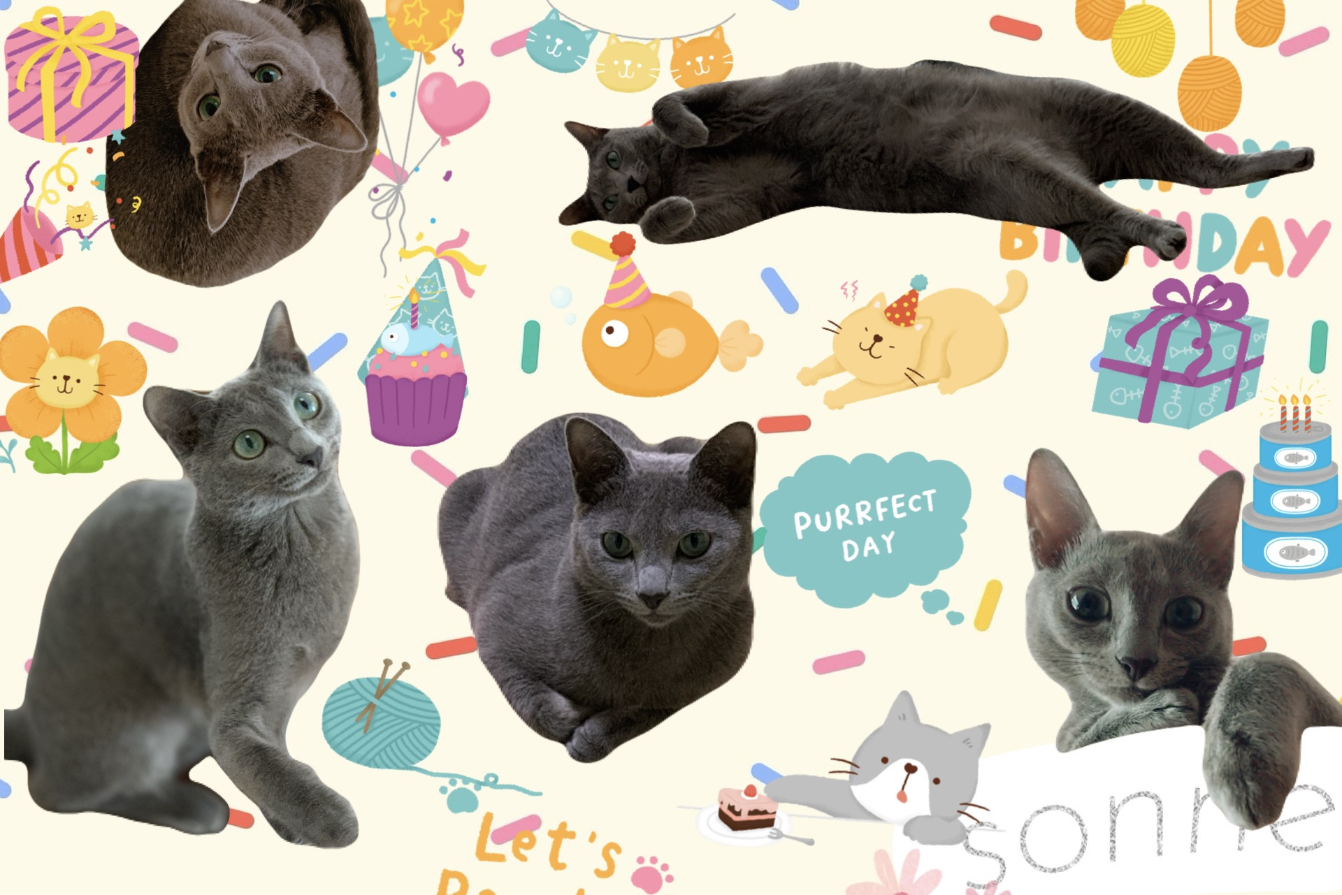 ゾンネ　コラージュ