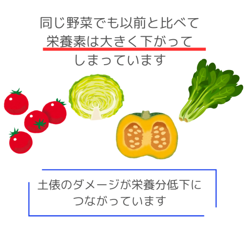 野菜の栄養素が減少しています！！ - 2.png
