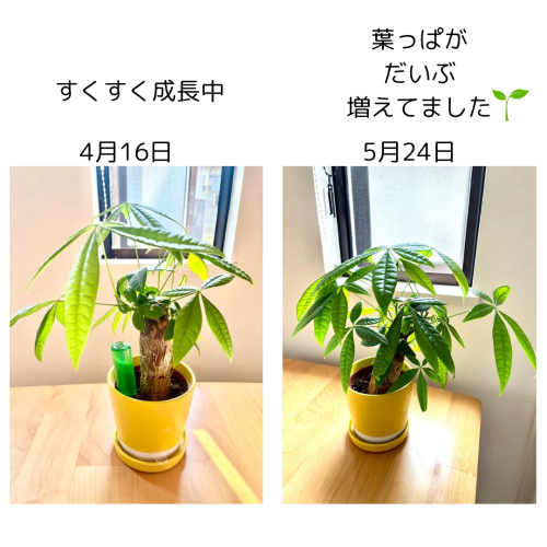 あ.png