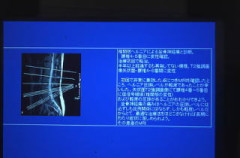 p91.jpg