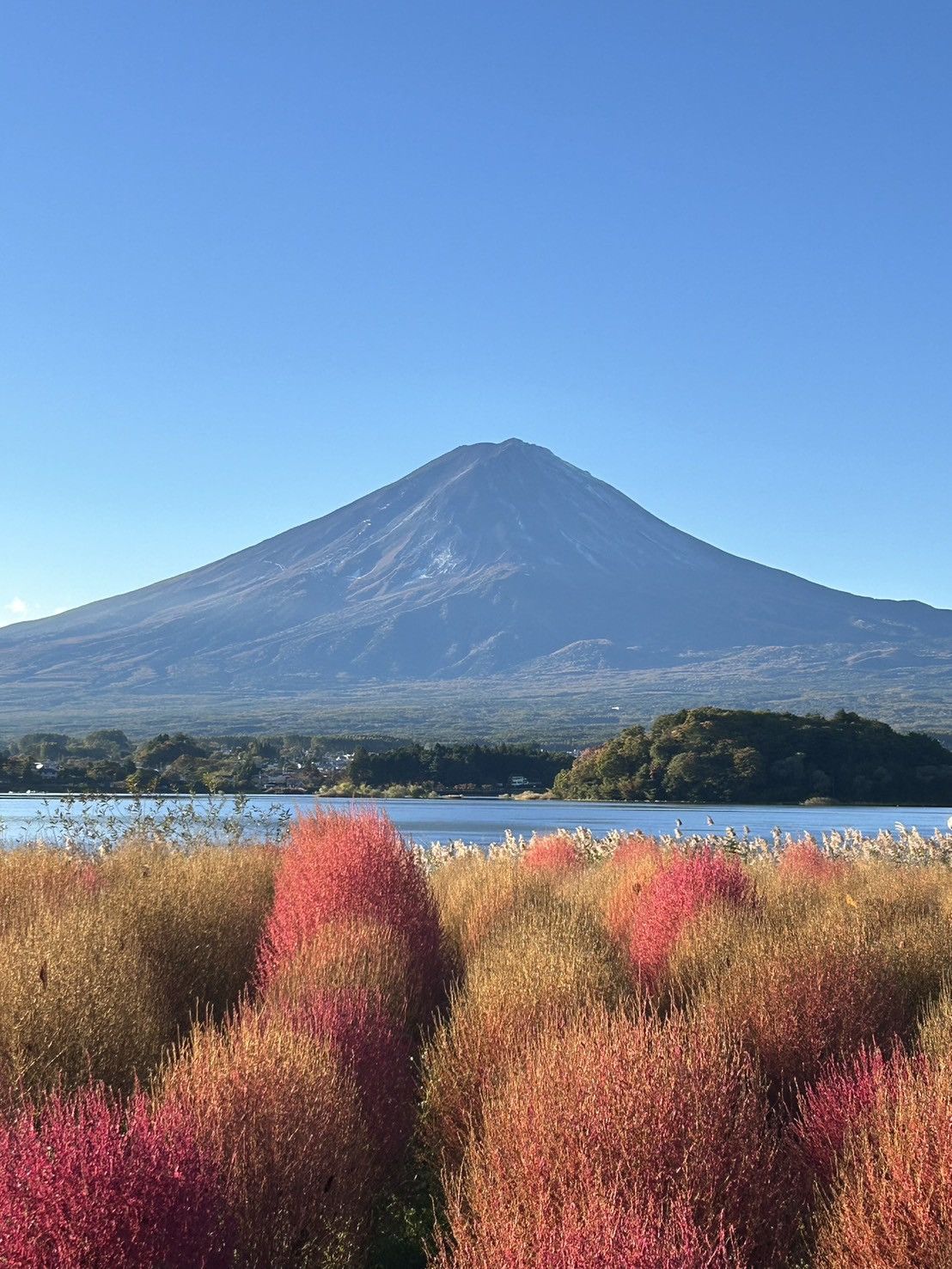大石公園からの富士山　大石公園まで徒歩５分