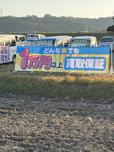 どんなお車でも1万円以上　車買取