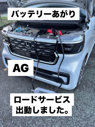 IMG_8001.jpeg