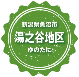 新潟県魚沼市湯之谷地区