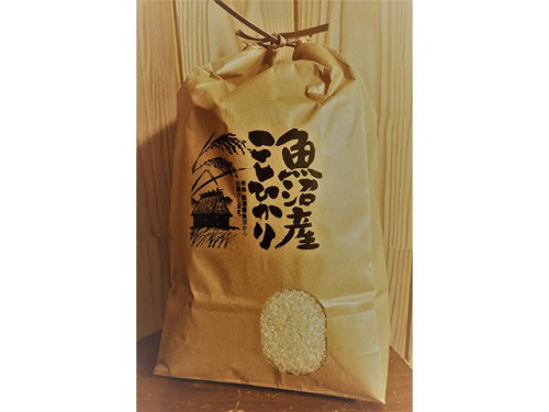 No.8 魚沼産新米コシヒカリ5kg