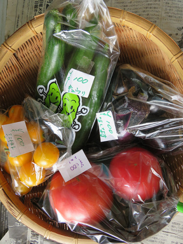 野菜ハウス