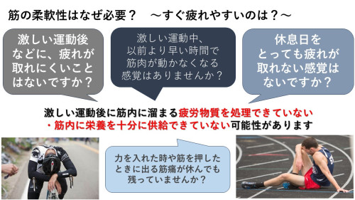 11．マッサージの重要性.JPG