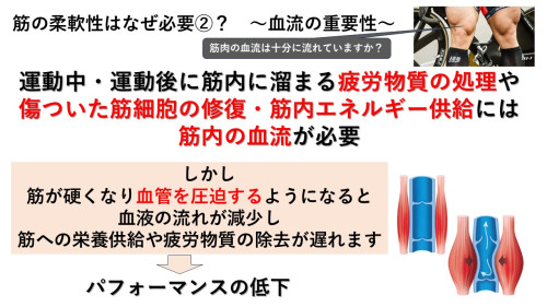 12．マッサージの重要性.JPG