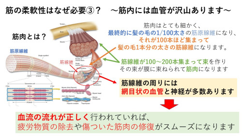 13．マッサージの重要性.JPG