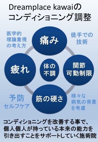 Dreamplace kawaiのコンディショニング調整.jpg